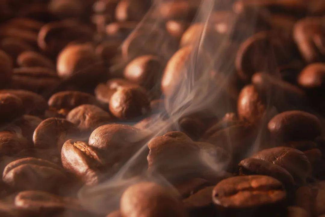 度的咖啡豆有什么区别？不朽情缘模拟器不同烘焙(图3)