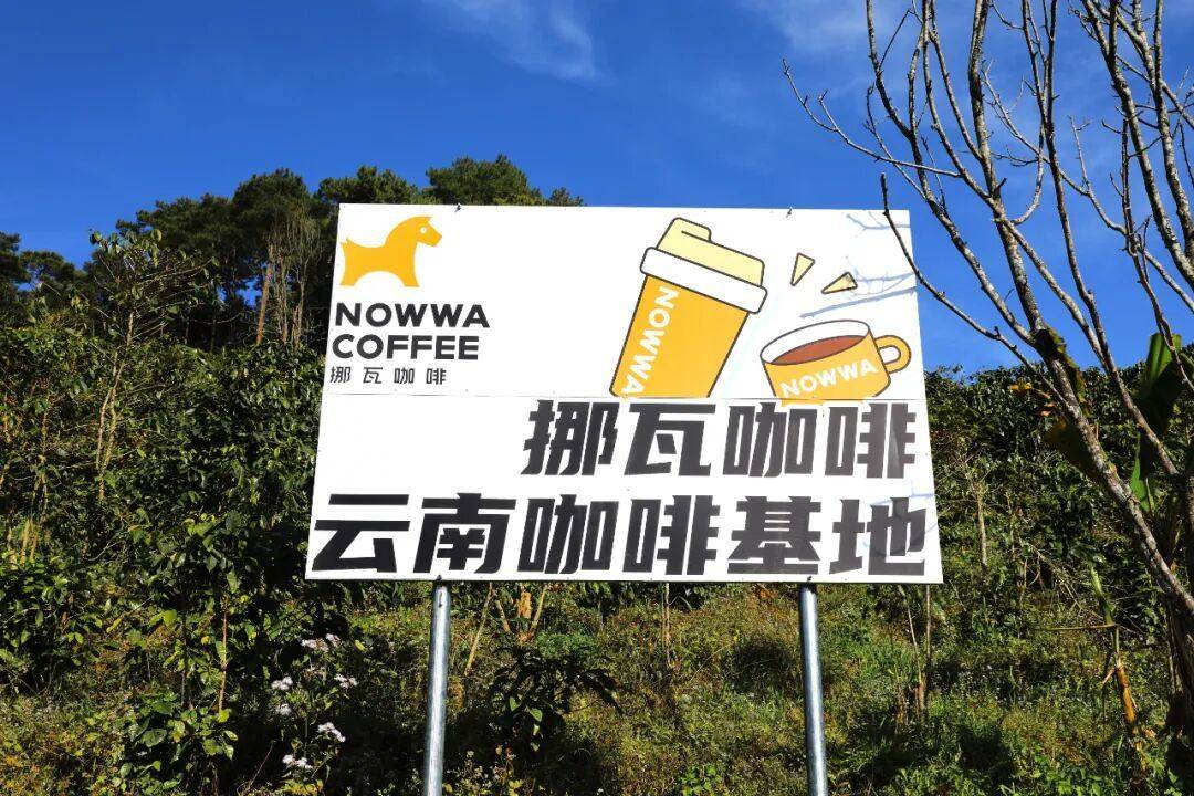 时刻”挪瓦已提前卡位下一个10年不朽情缘平台网站咖啡迎来“0脂(图3)